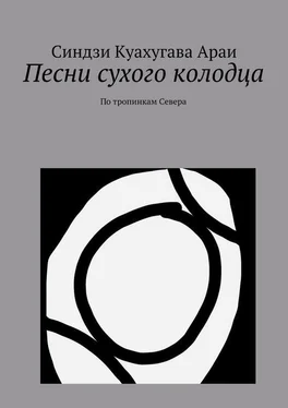 Синдзи Араи Песни сухого колодца обложка книги