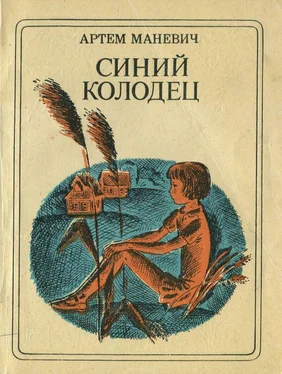 Артем Маневич Синий Колодец обложка книги