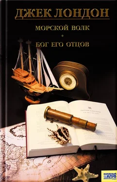 Джек Лондон Морской волк. Бог его отцов (сборник) обложка книги