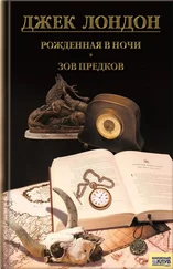 Джек Лондон - Рожденная в ночи. Зов предков. Рассказы (сборник)