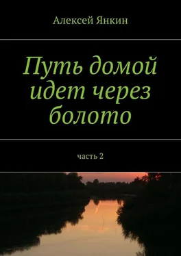 Алексей Янкин Путь домой идёт через болото. Часть 2 обложка книги