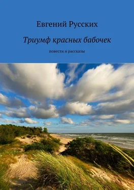 Евгений Русских Триумф красных бабочек обложка книги