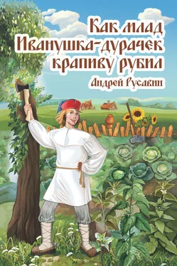 Андрей Русавин Как млад Иванушка-Дурачек крапиву рубил обложка книги