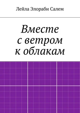 Лейла Элораби Салем Вместе с ветром к облакам обложка книги