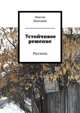 Максим Шинкарёв Устойчивое решение обложка книги