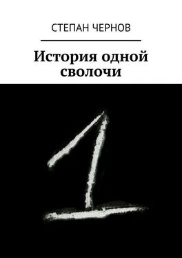 Степан Чернов История одной сволочи обложка книги