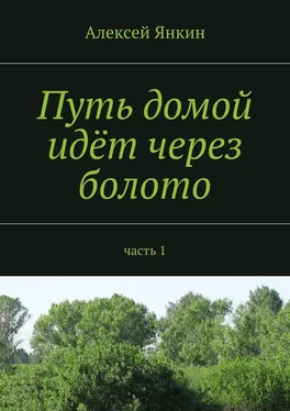 Алексей Янкин Путь домой идёт через болото. Часть 1 обложка книги