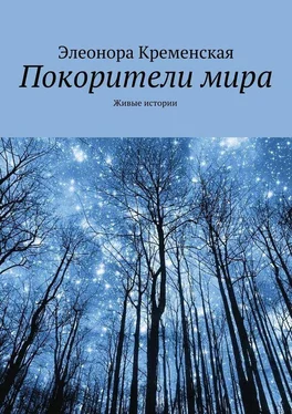 Элеонора Кременская Покорители мира обложка книги