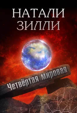 Натали Зилли Четвертая мировая обложка книги