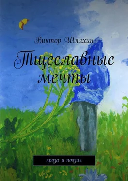 Виктор Шляхин Тщеславные мечты (сборник) обложка книги