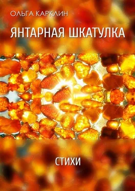 Ольга Карклин Янтарная шкатулка. Стихи обложка книги