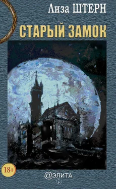 Лиза Штерн Старый замок обложка книги