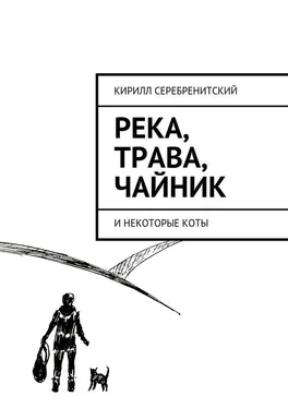 Кирилл Серебренитский Река, трава, чайник и некоторые коты обложка книги