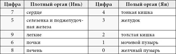 Обратите внимание что все органы разделены на две категории плотные органы - фото 12