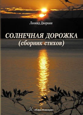 Леонид Дворкин Солнечная дорожка обложка книги