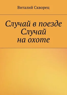 Виталий Скворец Случай в поезде. Случай на охоте обложка книги