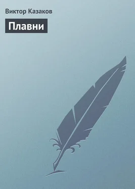 Виктор Казаков Плавни обложка книги