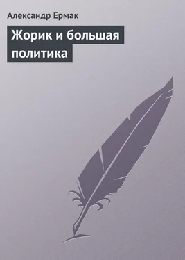 Александр Ермак Жорик и большая политика обложка книги