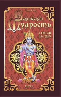 Шри Сатья Саи Баба Бхагаван Ведическая мудрость в притчах и историях. Книга 1 обложка книги