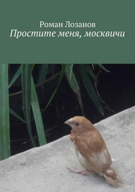 Роман Лозанов Простите меня, москвичи обложка книги
