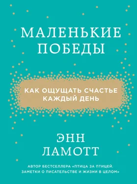 Энн Ламотт Маленькие победы. Как ощущать счастье каждый день обложка книги