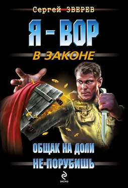 Сергей Зверев Общак на доли не порубишь обложка книги