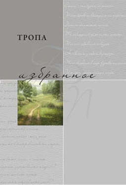 Коллектив авторов Тропа. Избранное обложка книги