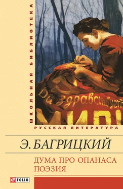 Эдуард Багрицкий Дума про Опанаса; Поэзия обложка книги