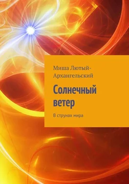 Миша Лютый-Архангельский Солнечный ветер. В струнах мира обложка книги