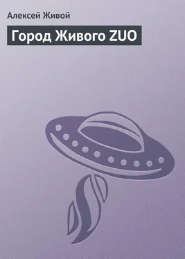 Алексей Живой Город Живого ZUO обложка книги