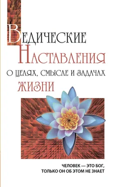 Шри Сатья Саи Баба Бхагаван Ведические наставления о целях, смысле и задачах жизни обложка книги