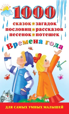 Валентина Дмитриева 1000 сказок, загадок, пословиц, рассказов, песенок, потешек. Времена года обложка книги