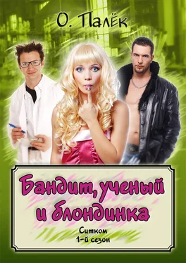 Олег Палёк Бандит, ученый и блондинка. 1-й сезон обложка книги