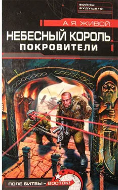 Алексей Живой Небесный король: Покровители обложка книги