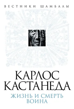 Борис Булгаков Карлос Кастанеда. Жизнь и смерть Воина обложка книги