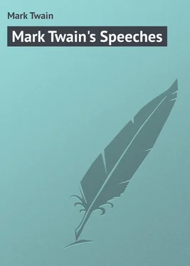 Mark Twain Mark Twain's Speeches обложка книги