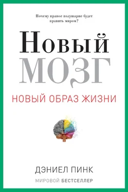 Дэниел Пинк Новый мозг обложка книги