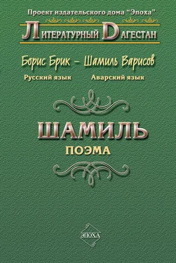 Борис Брик Шамиль обложка книги