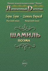 Борис Брик - Шамиль