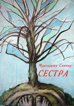 Маргарита Снапир Сестра обложка книги
