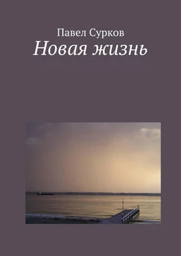 Павел Сурков Новая жизнь обложка книги