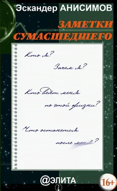 Эскандер Анисимов Заметки сумасшедшего (сборник) обложка книги