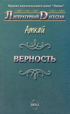 Аткай Аджаматов Верность (сборник) обложка книги