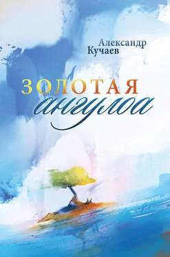 Александр Кучаев Золотая ангулоа обложка книги