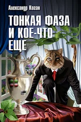 Александр Коган - Тонкая фаза и кое-что еще (сборник)