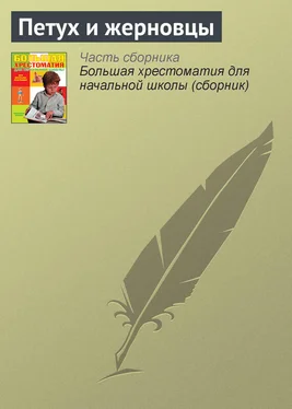 Русские народные сказки Петух и жерновцы обложка книги