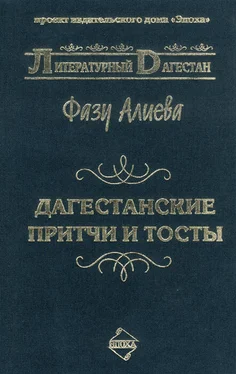 Фазу Алиева Дагестанские притчи и тосты обложка книги