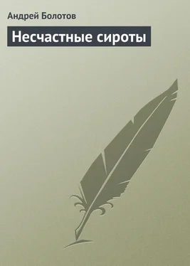 Андрей Болотов Несчастные сироты обложка книги