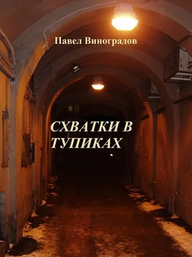 Дмитрий Виноградов Схватки в тупиках (сборник) обложка книги