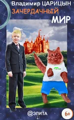 Владимир Царицын - Зачердачный мир